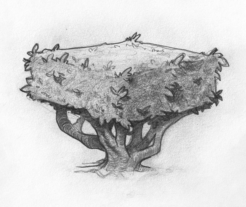 Tree